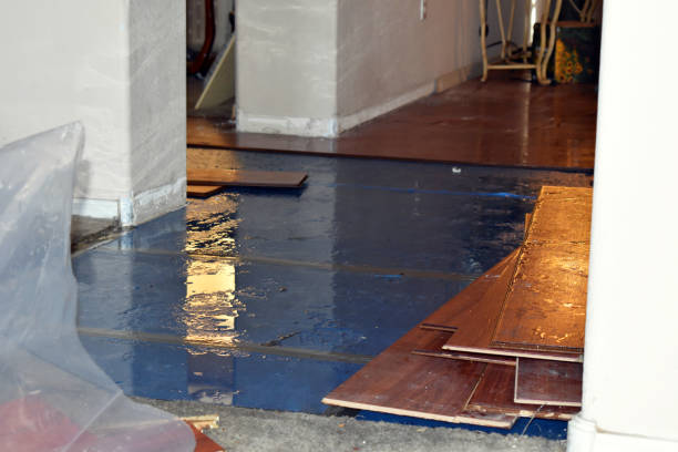 Professional Emergency Water Damage Restoration technician working in Shutesbury, MA